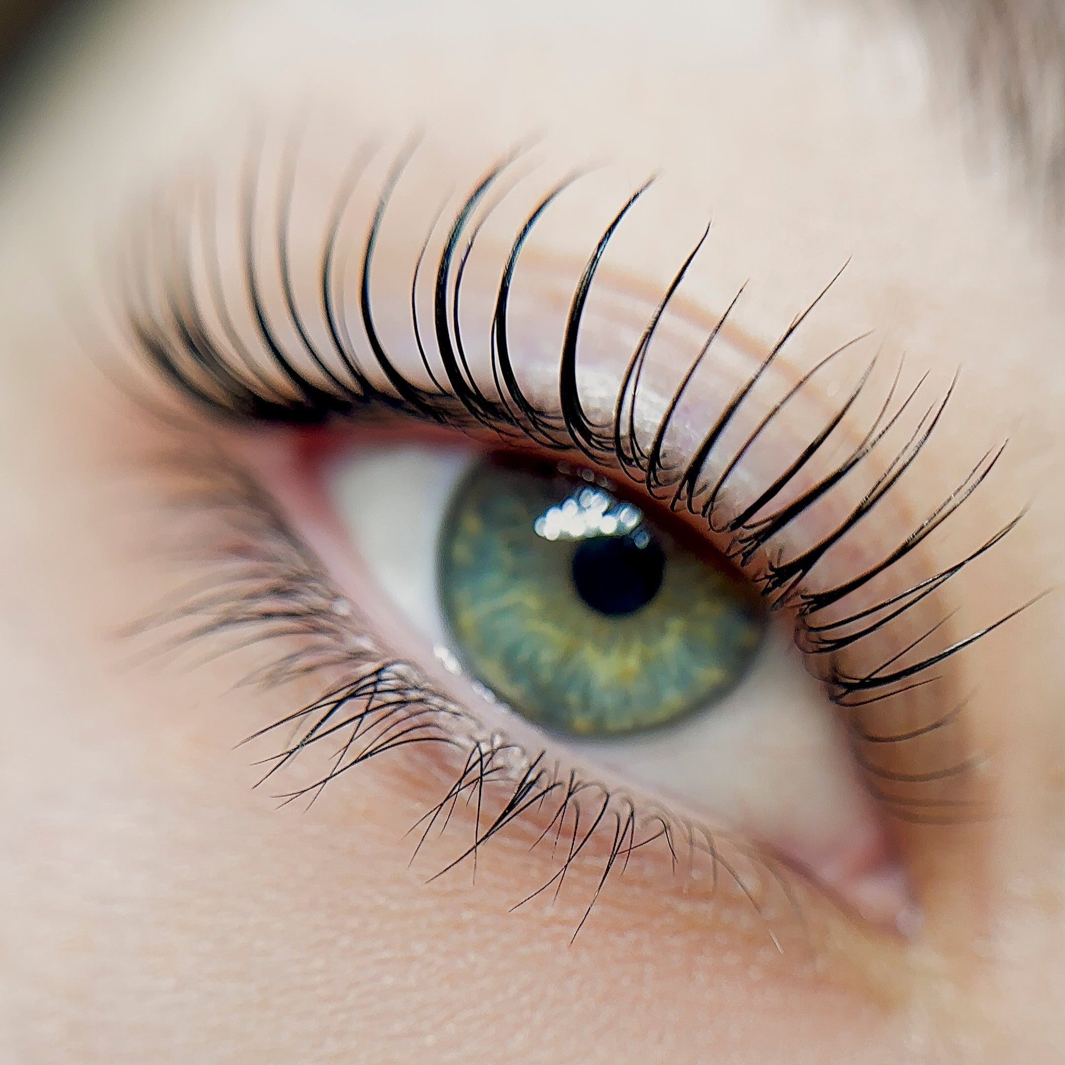 🧬 The Science Behind the Korean Lash Lift: Why It Works Better (and Safer)