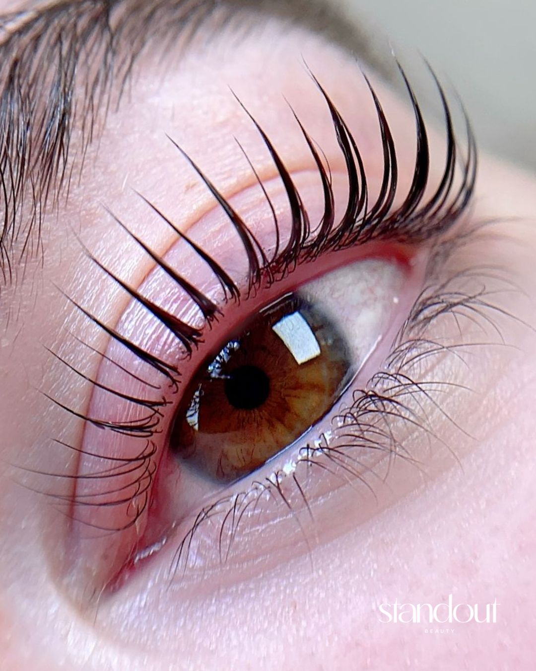 The Ultimate Guide to Korean Lash Lifts in Canada (and Why Artists Worldwide Are Making the Switch)