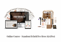 Online Course + Standout Hybrid Dye Brow Kit  (Pro)
