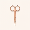 Standout Precision Scissor