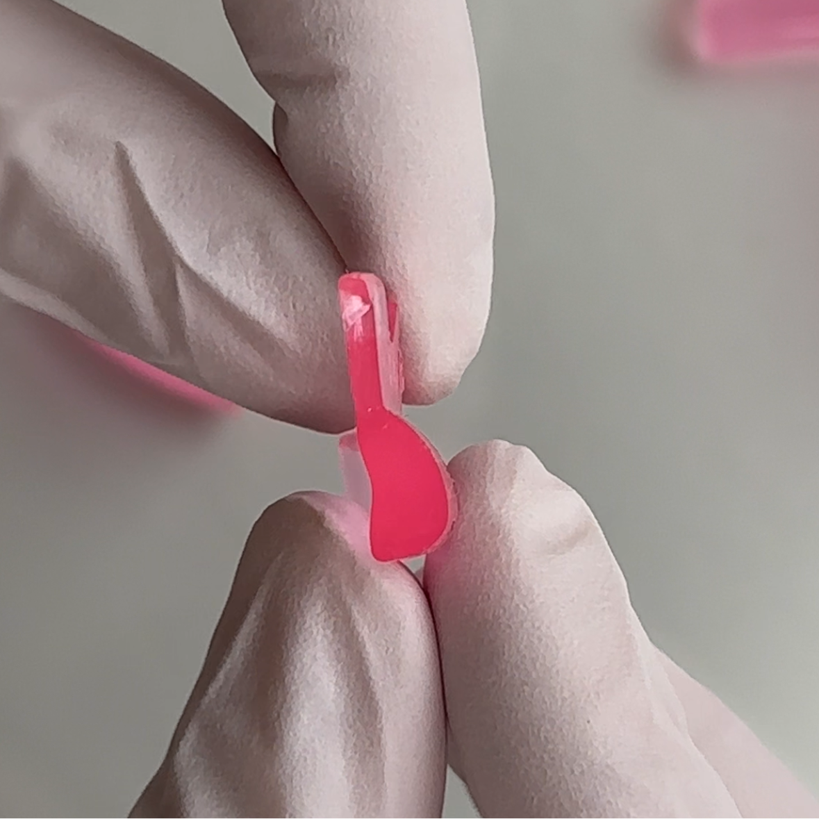 Korean Cherry Blossom Shields