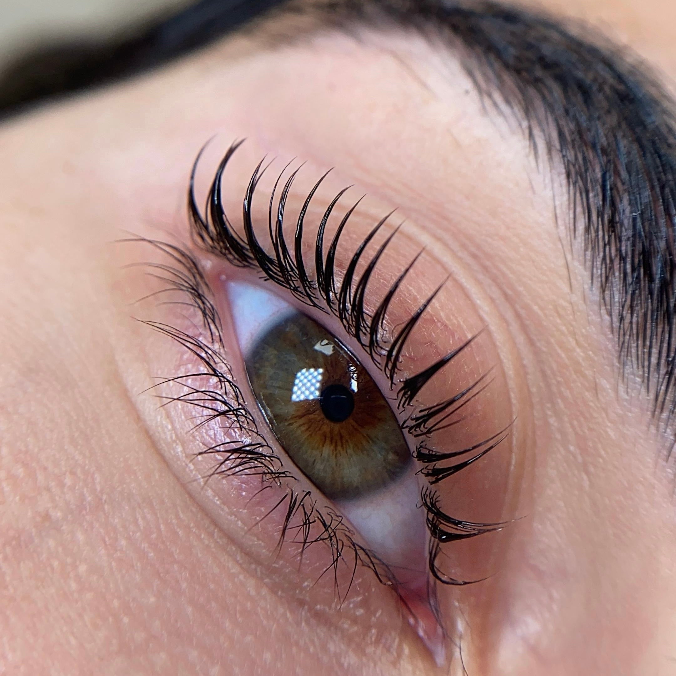 Cheeyou Korean Shell Shields