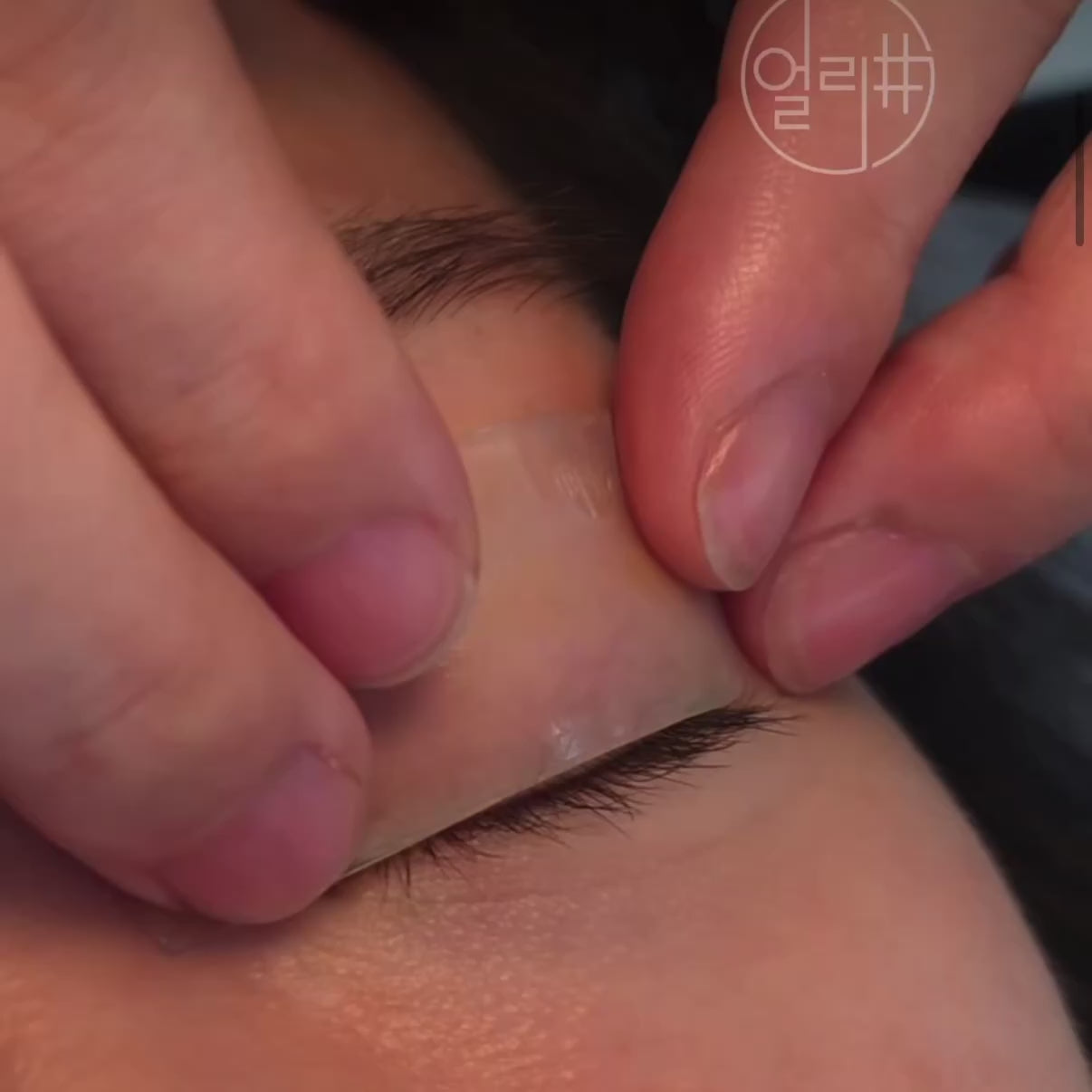 Load video: Lash Factory Korean Flat Brush