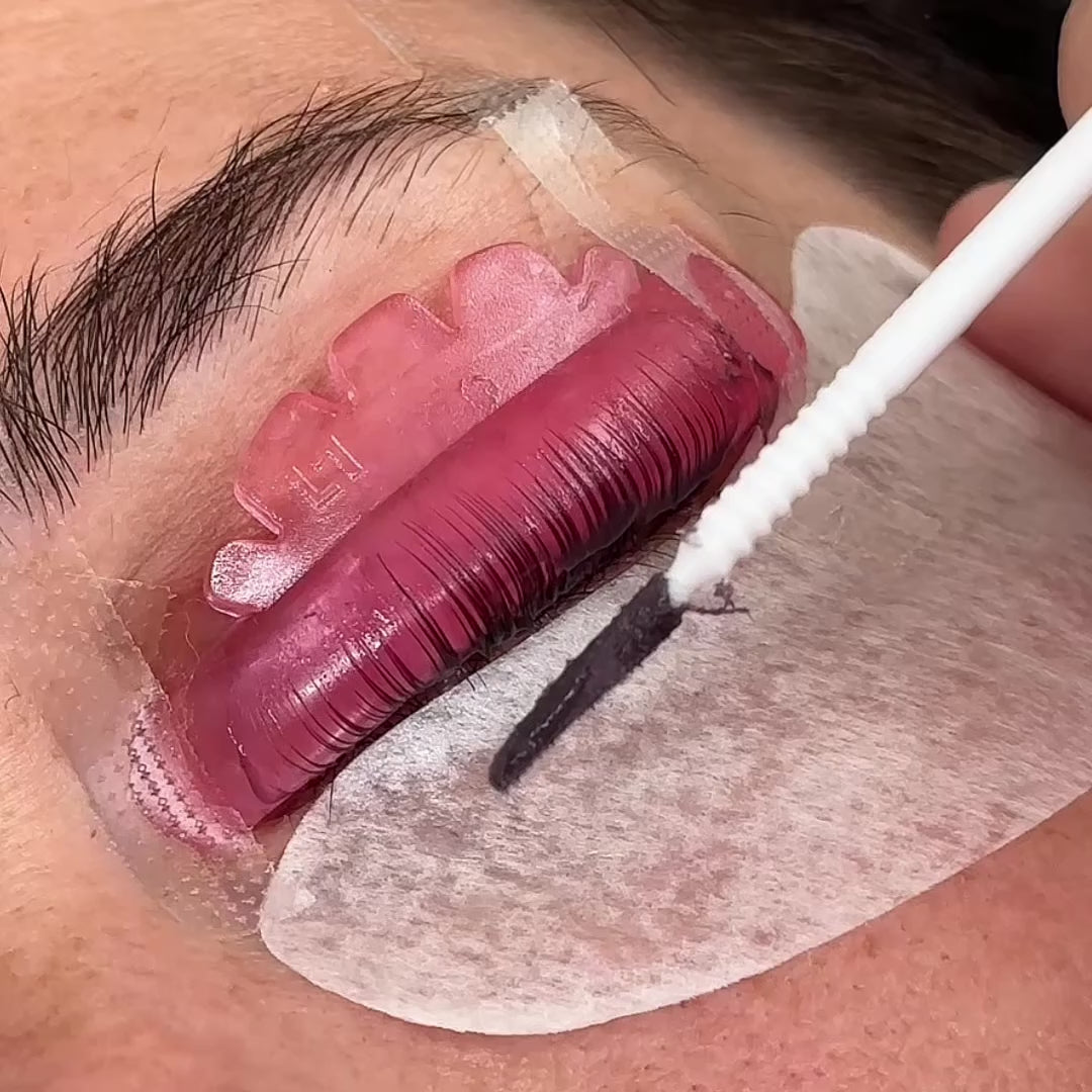 Load video: Korean Cherry Blossom Shields