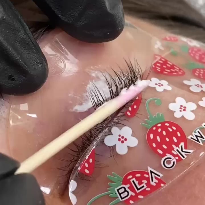 Load video: Korean Teddy Shields