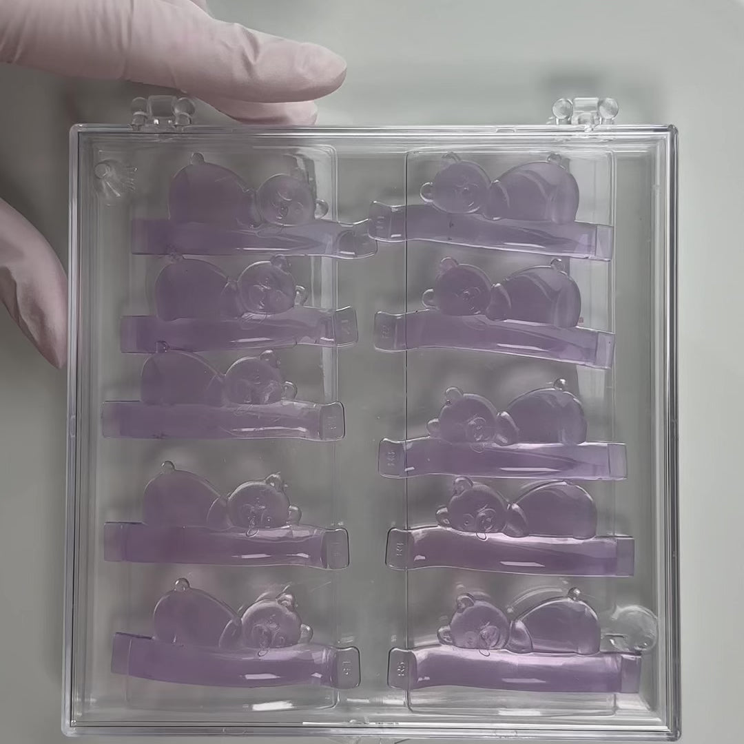 Load video: Korean Teddy Shields